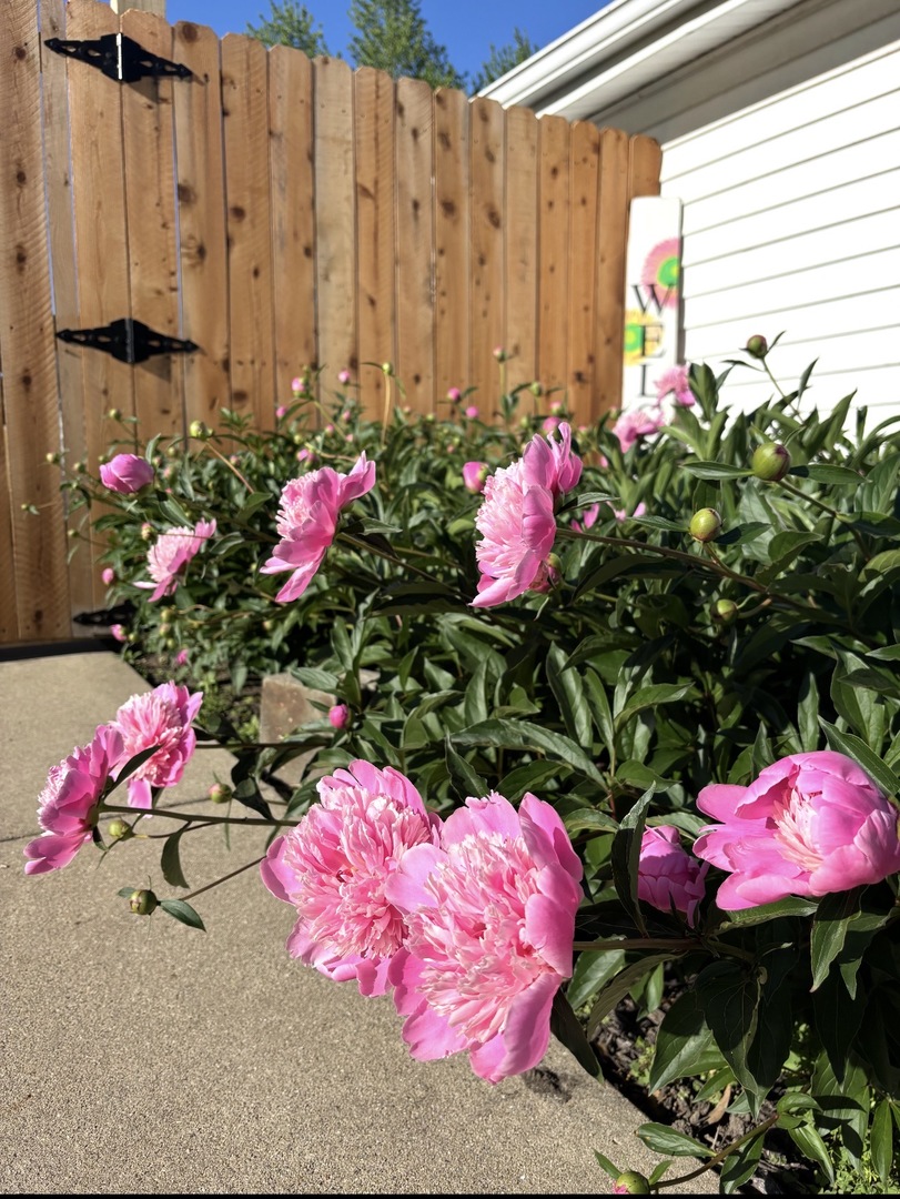 1310 N Livingston Street, Bloomington, IL 61701