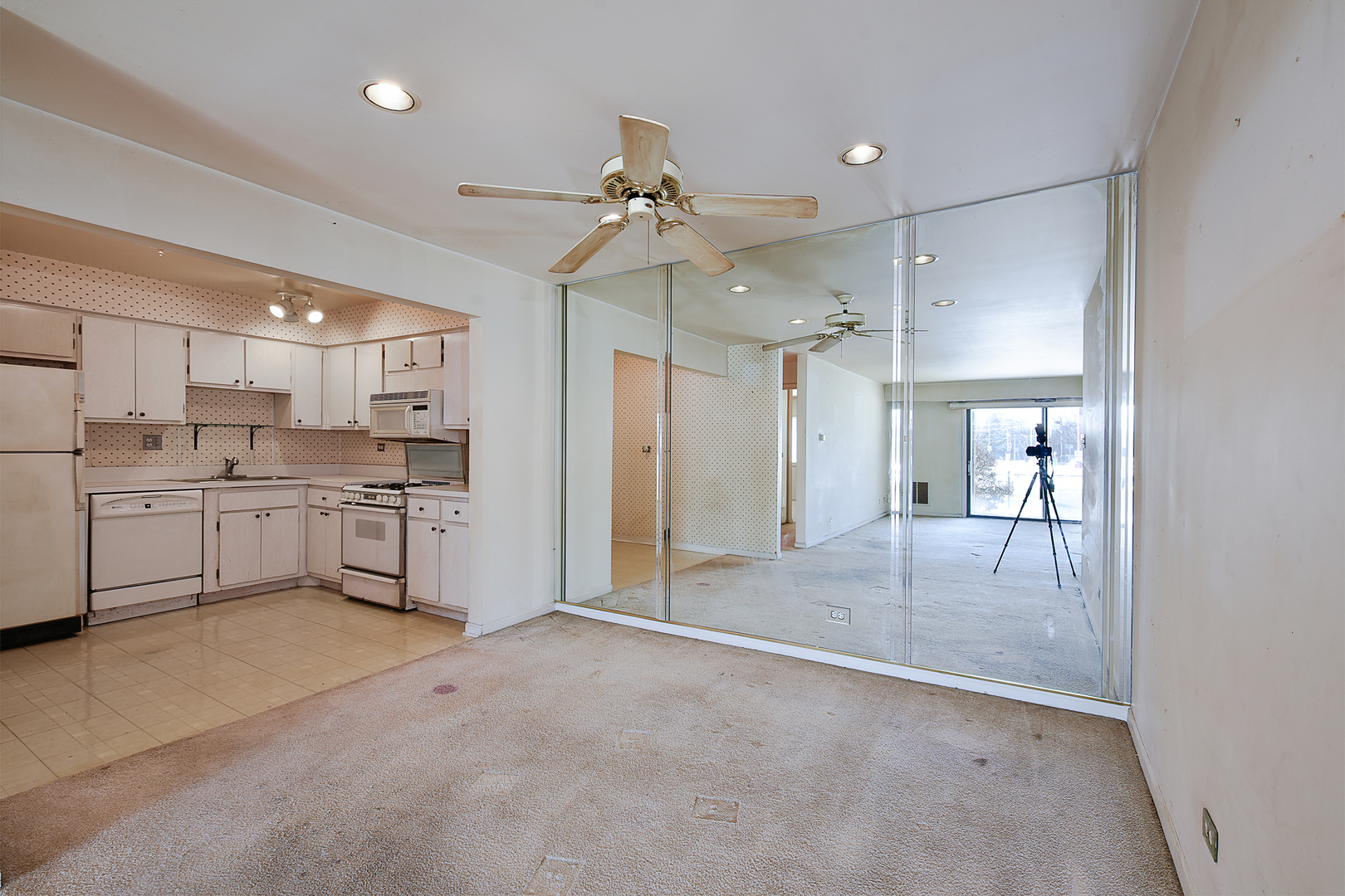 1150 E Randville Drive #1N, Palatine, IL 60074