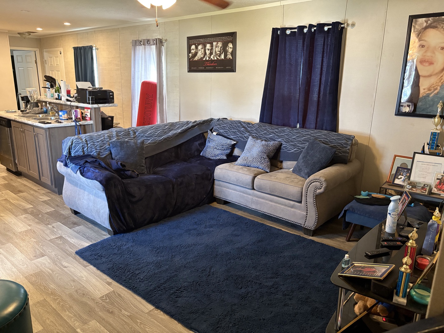 602 Virginia Avenue, Lynwood, IL 60411