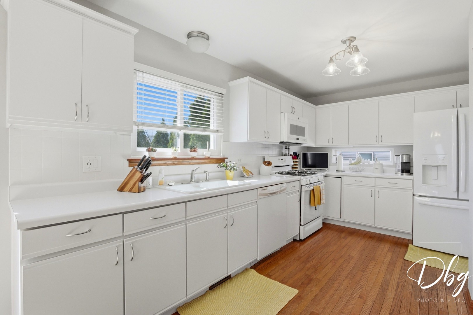 7 E Dahlia Lane, Round Lake Beach, IL 60073