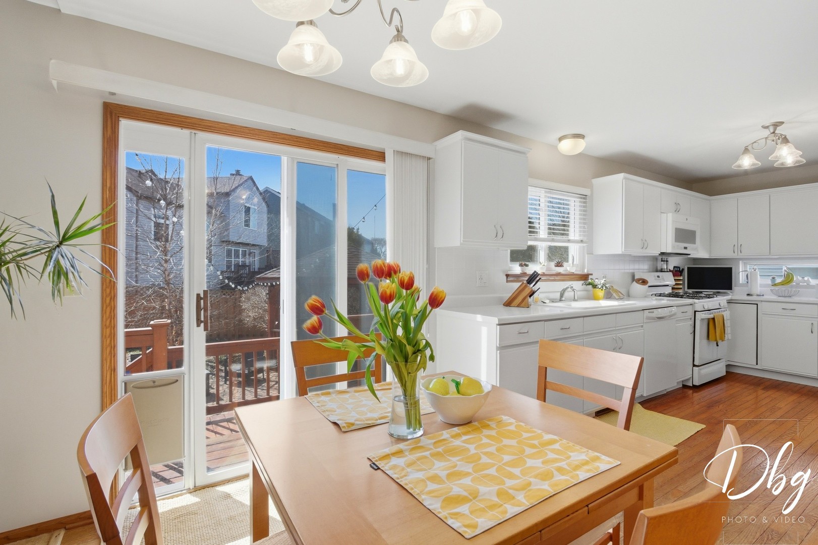 7 E Dahlia Lane, Round Lake Beach, IL 60073