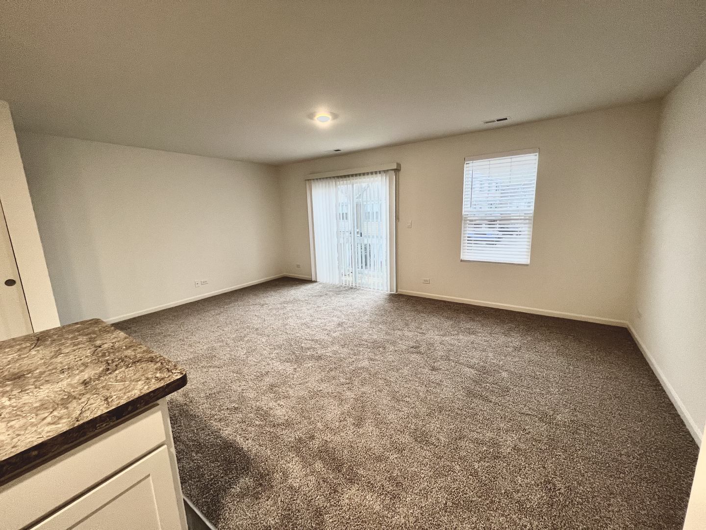 217 Goldenrod Drive, Elgin, IL 60124