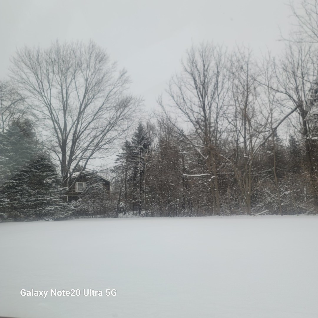 23255 N Apple Hill Lane, Lincolnshire, IL 60069