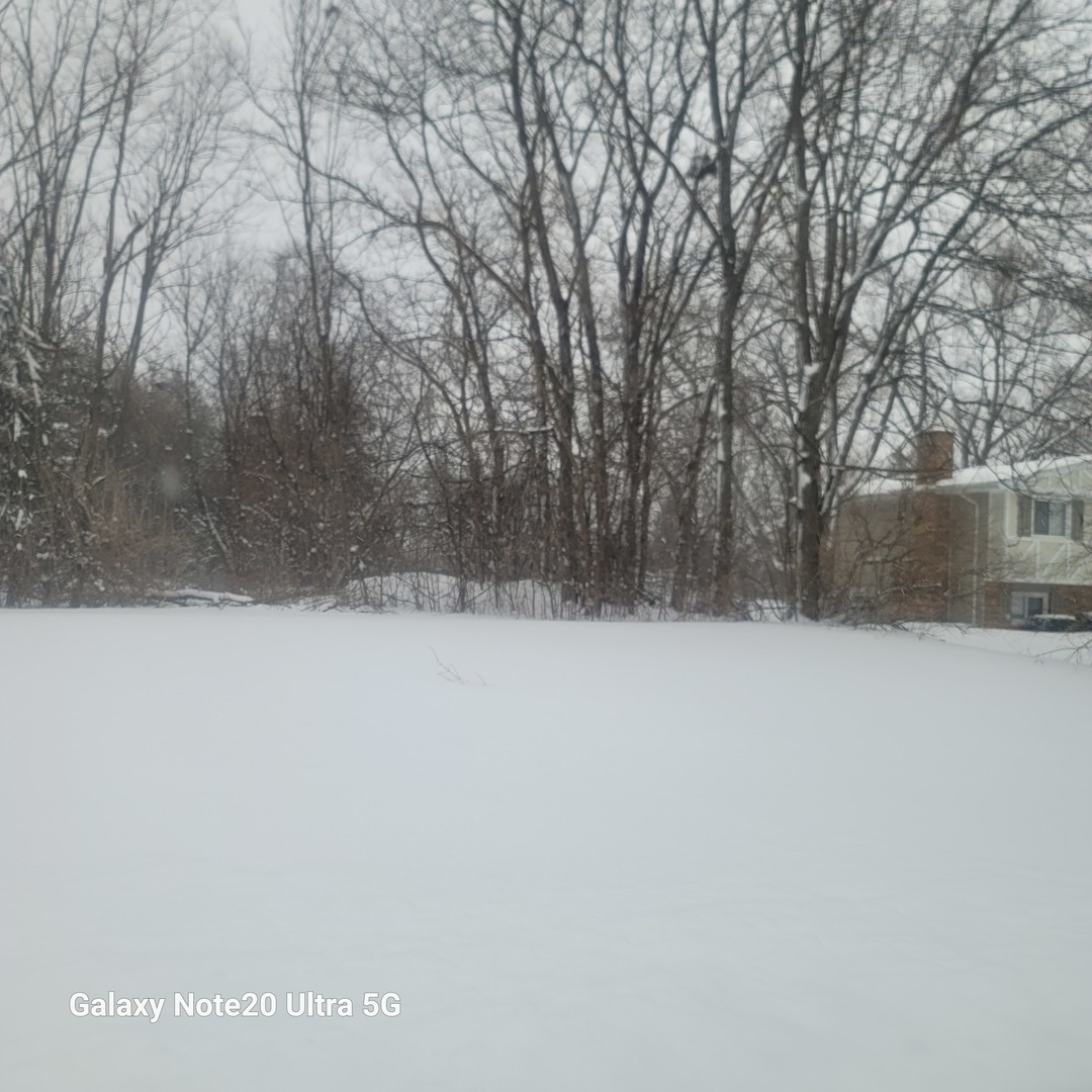 23255 N Apple Hill Lane, Lincolnshire, IL 60069