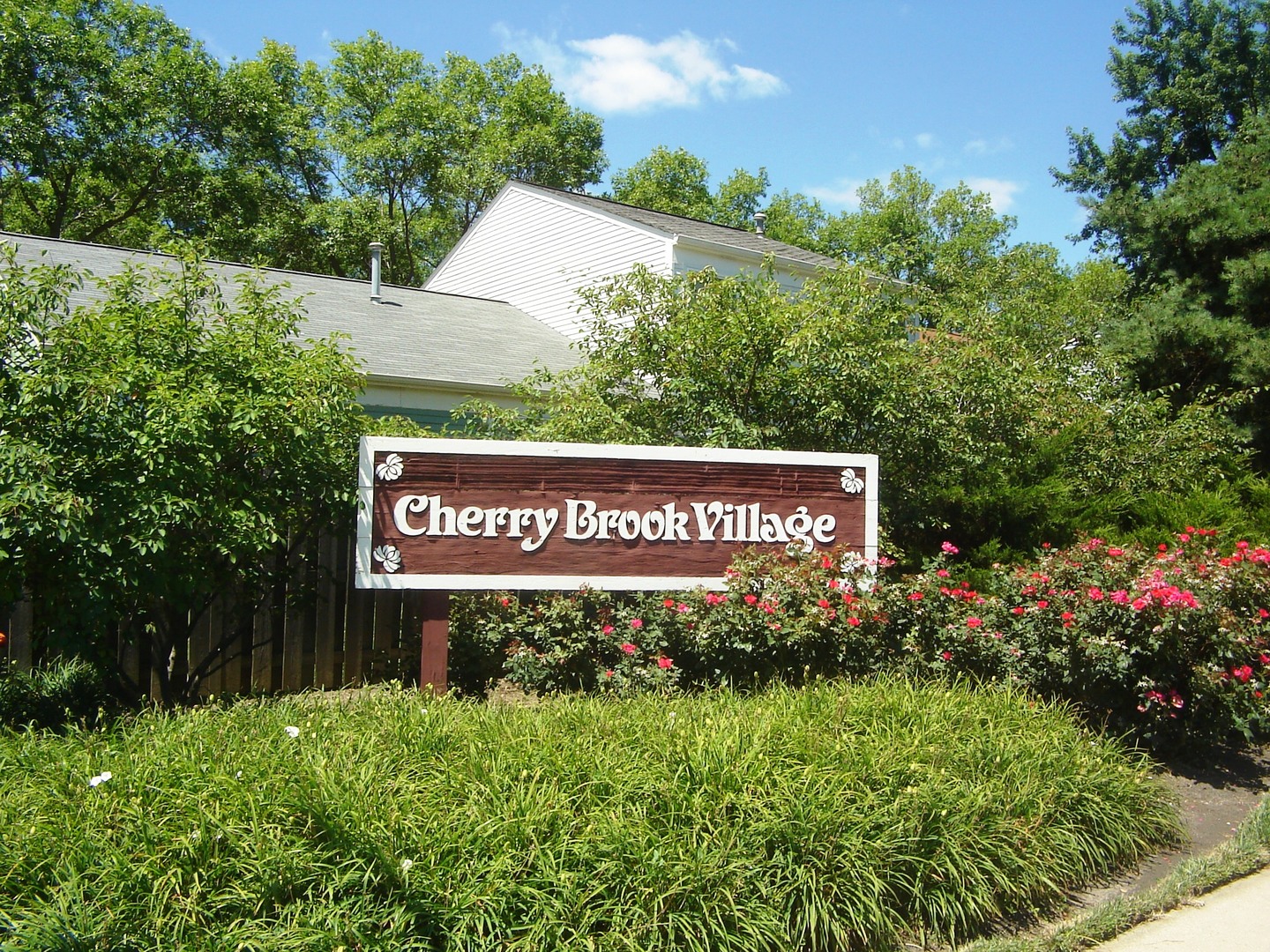 296 W Cherrywood Drive, Palatine, IL 60067