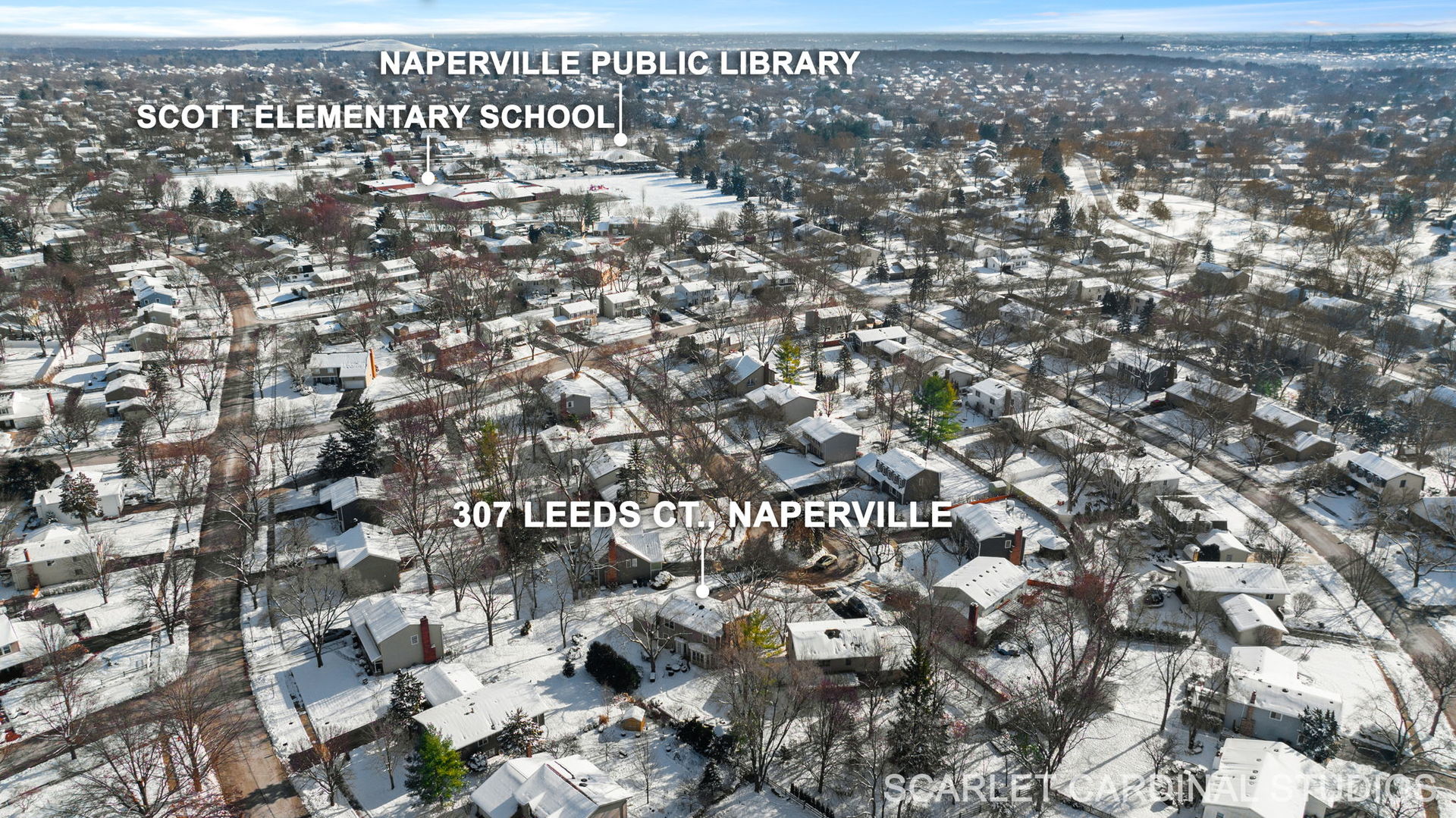 307 Leeds Court, Naperville, IL 60565