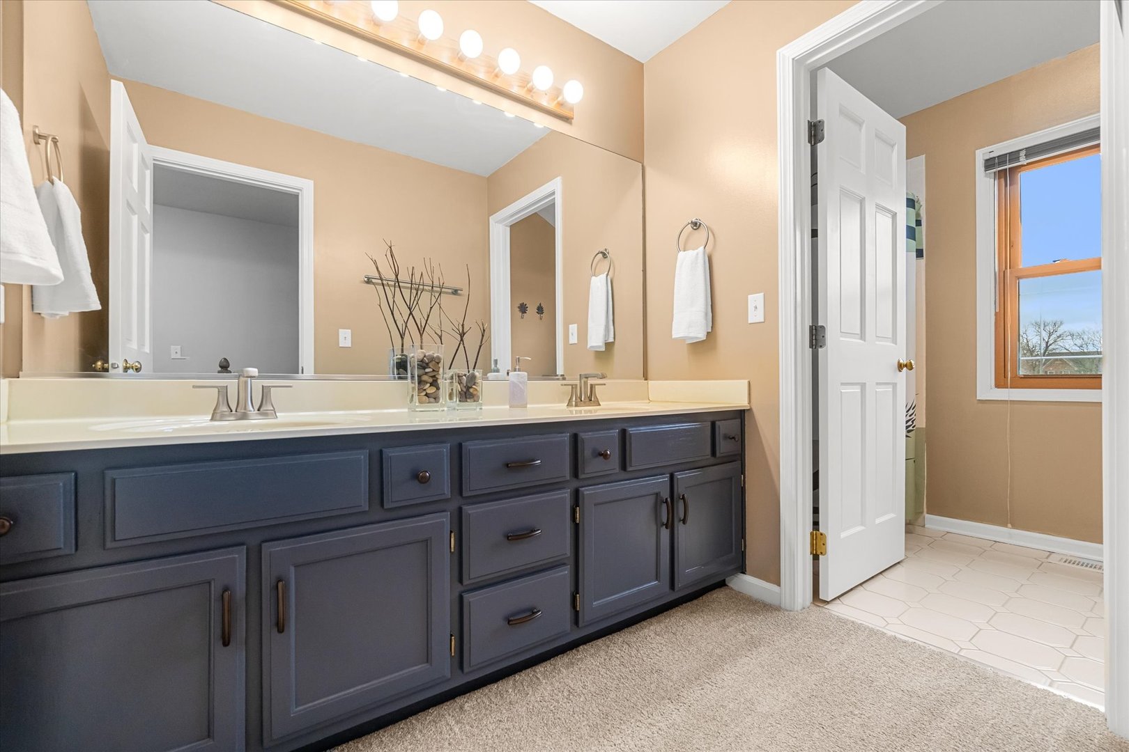 1211 Conan Doyle Road, Naperville, IL 60564