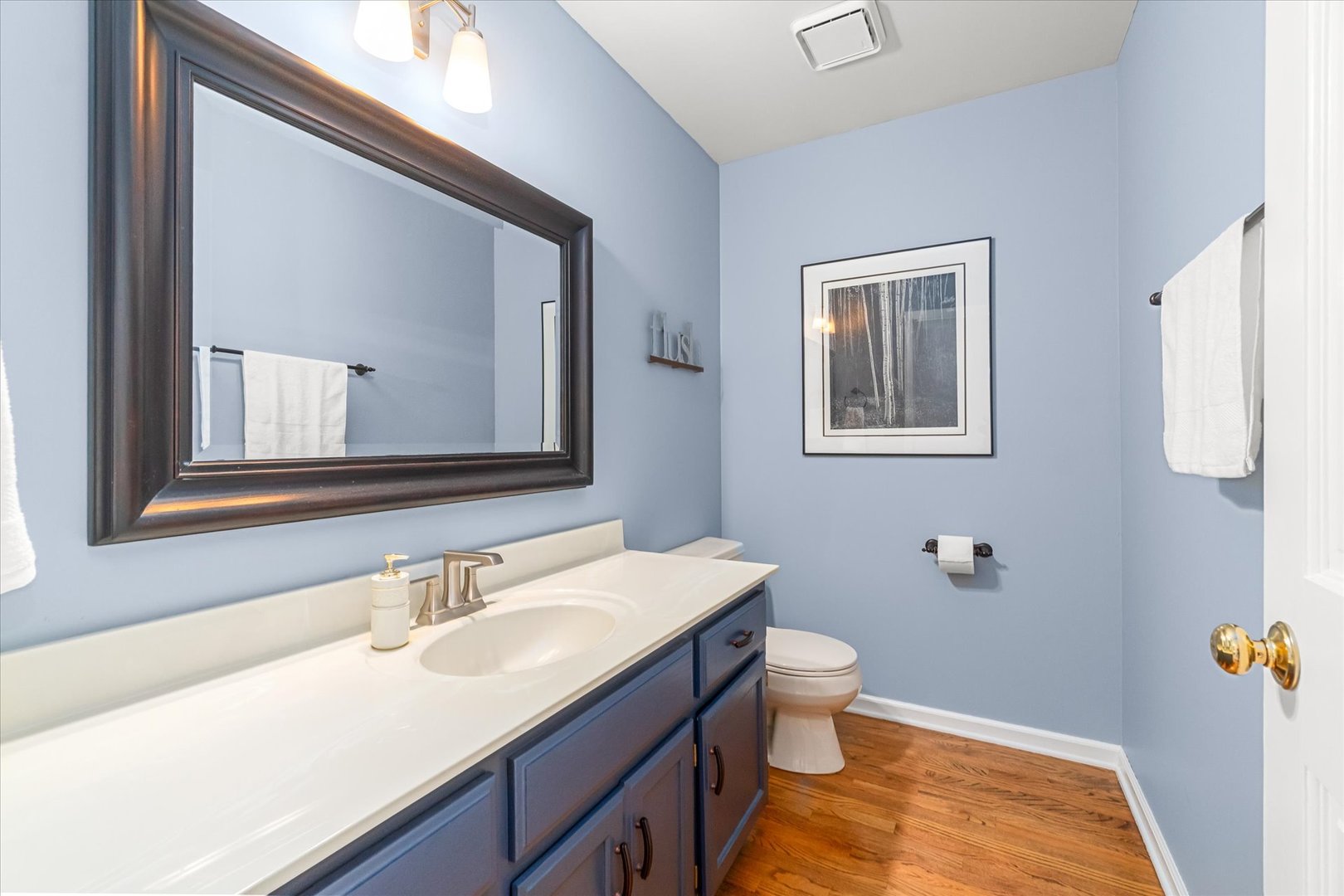 1211 Conan Doyle Road, Naperville, IL 60564