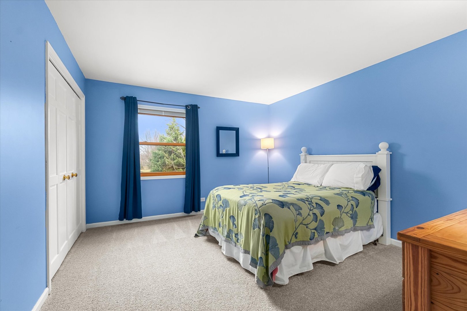 1211 Conan Doyle Road, Naperville, IL 60564