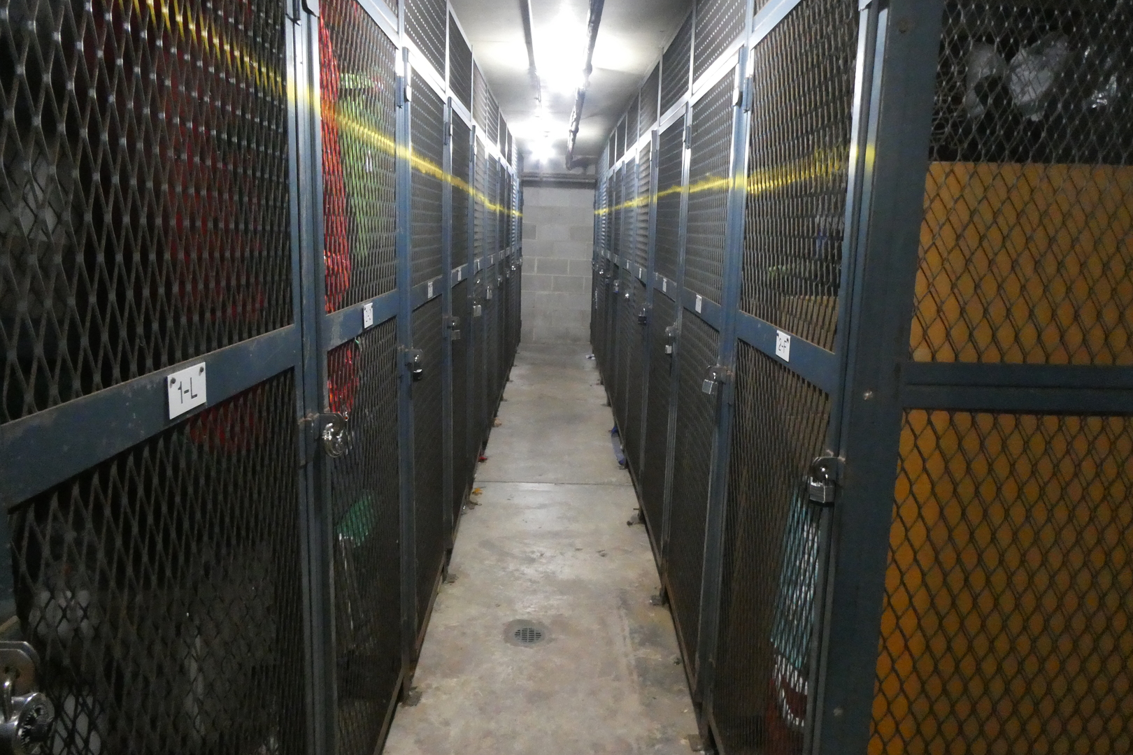 440 Raintree Court #1G, Glen Ellyn, IL 60137