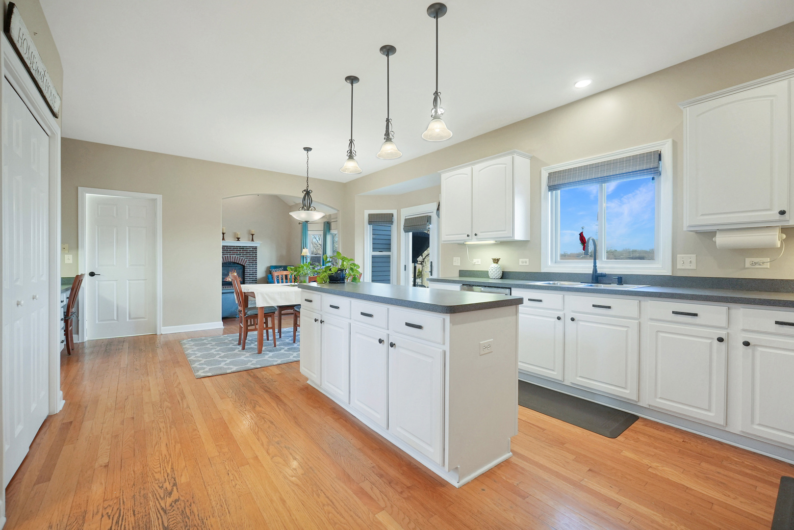 3135 Wild Meadow Lane, Aurora, IL 60504