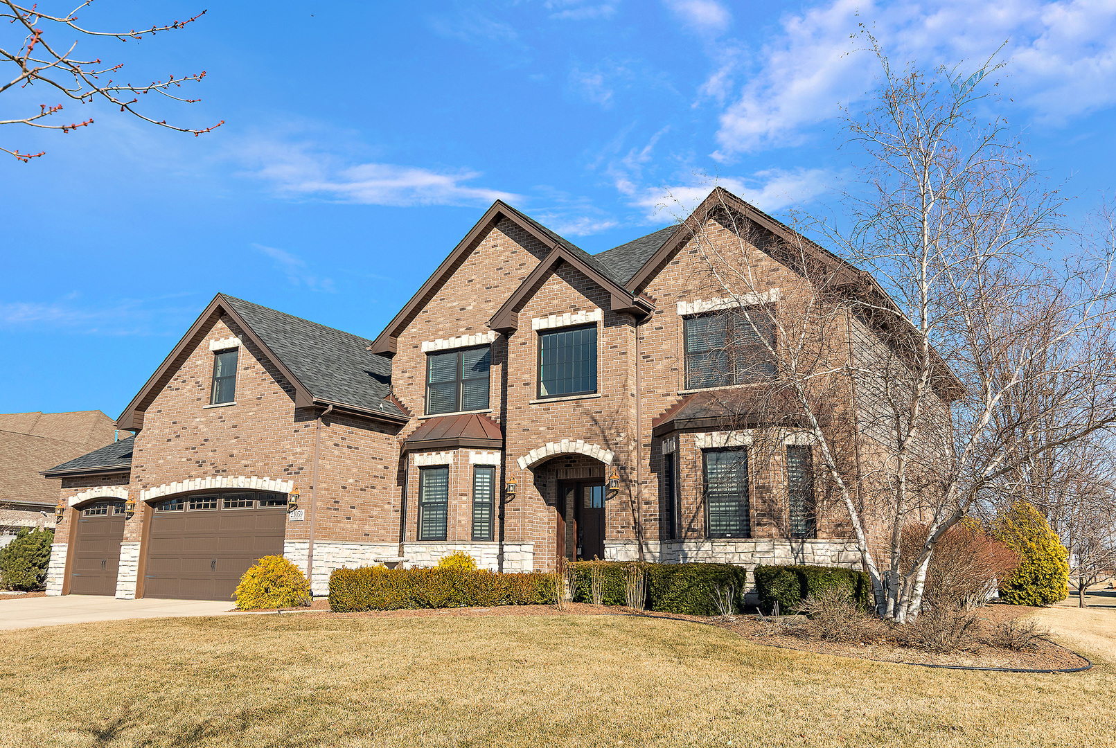23059 Firenze Drive, Frankfort, IL 60423
