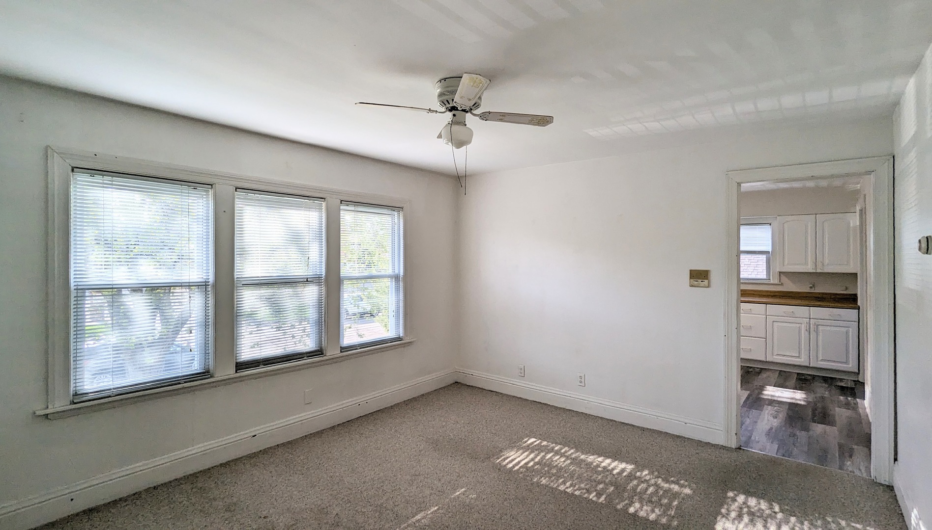 607 Walnut Street #4, Lemont, IL 60439