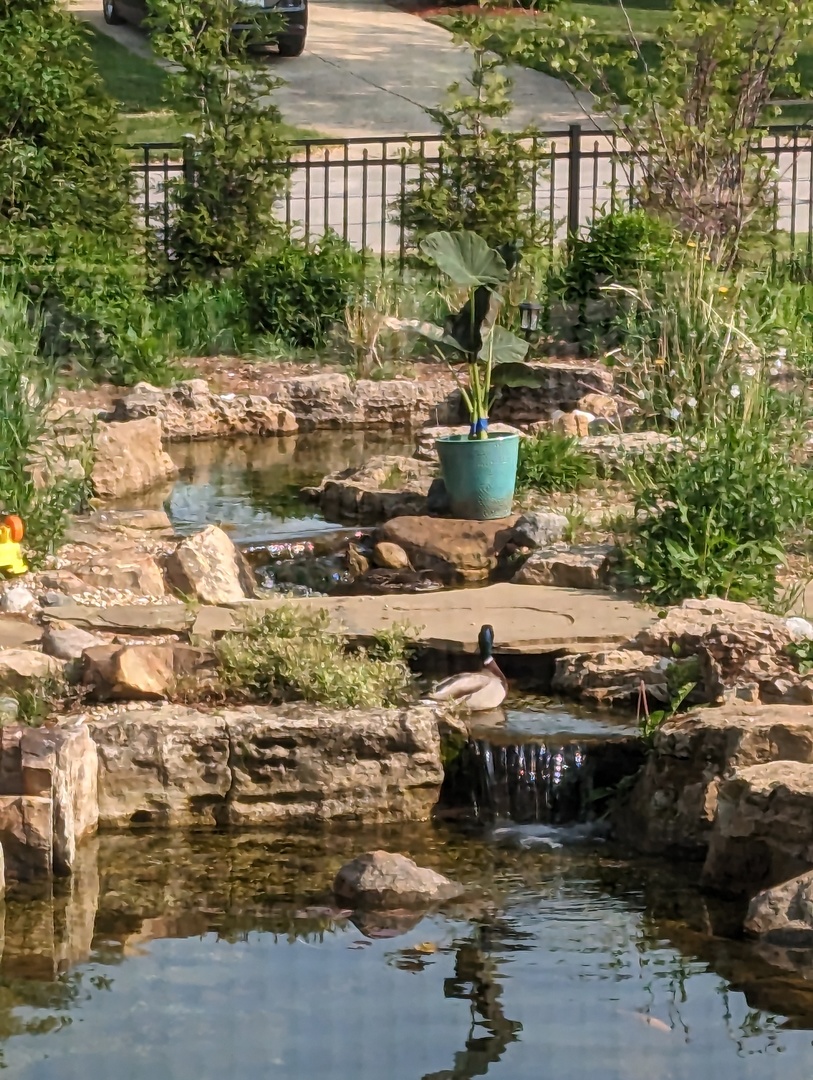 216 S Whispering Hills Drive, Naperville, IL 60540