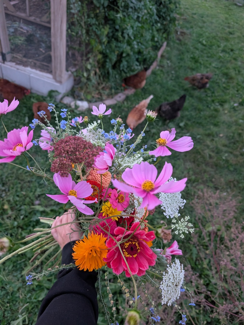 216 S Whispering Hills Drive, Naperville, IL 60540