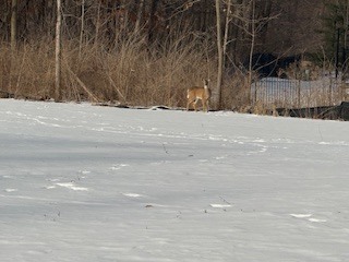 12720 Brighton Court, Mokena, IL 60448