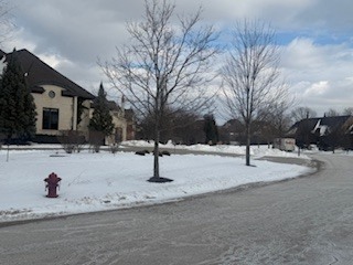 12720 Brighton Court, Mokena, IL 60448