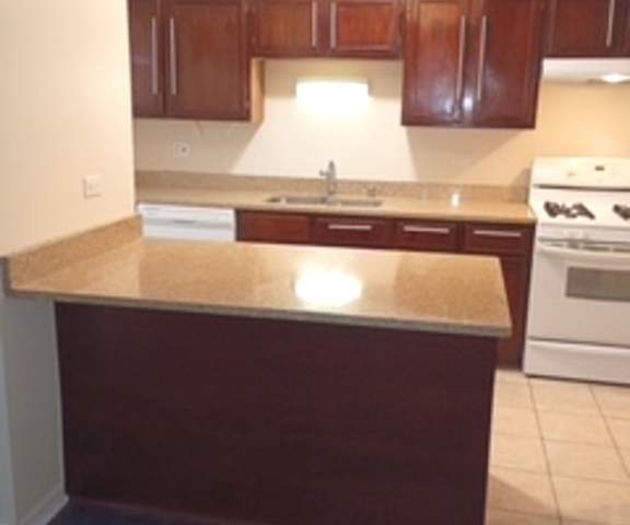 19129 Pine Drive #113, Country Club Hills, IL 60478