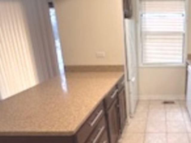 19129 Pine Drive #113, Country Club Hills, IL 60478