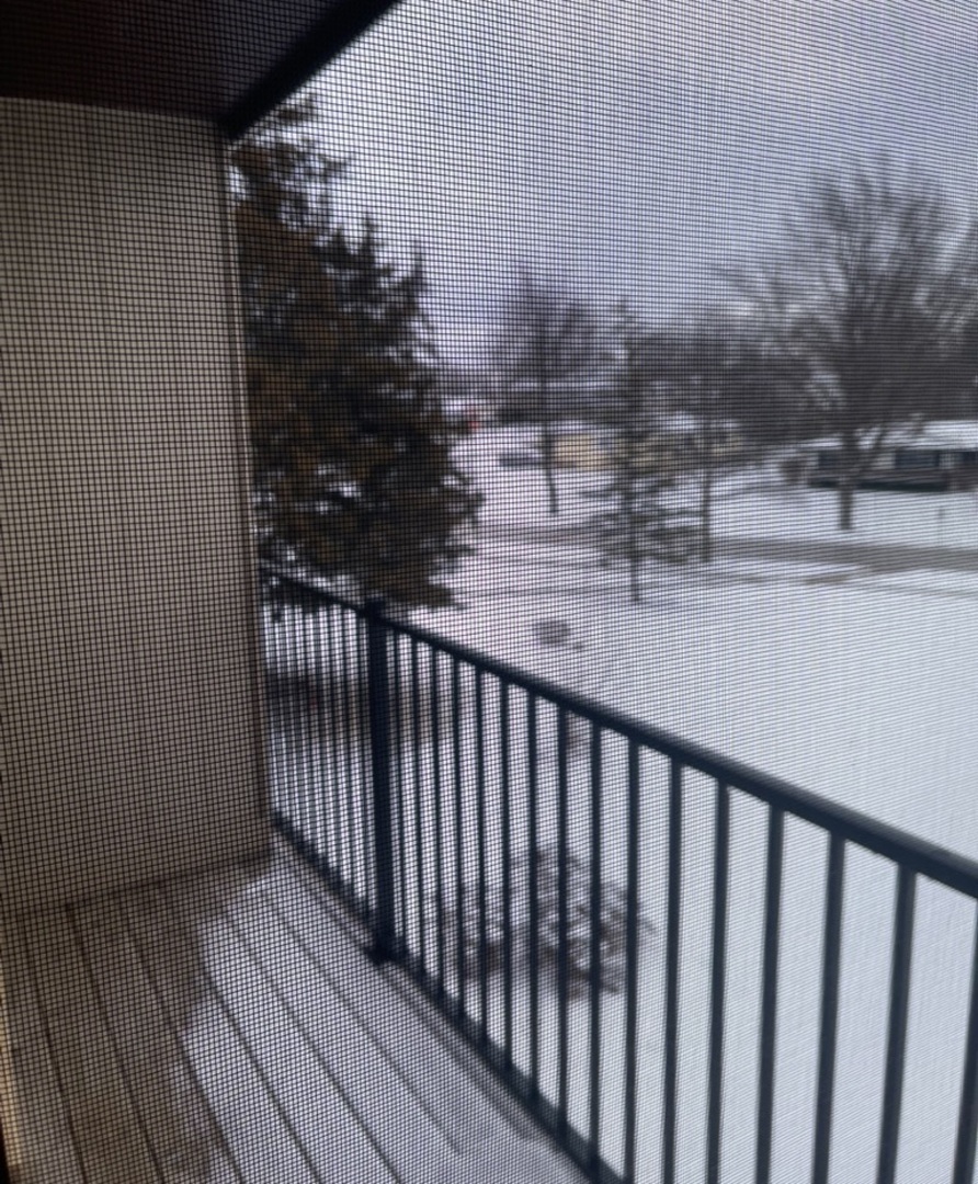 212 Collen Drive #209, Lombard, IL 60148