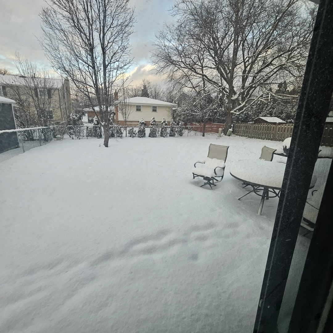 1406 Peterson Avenue, Park Ridge, IL 60068