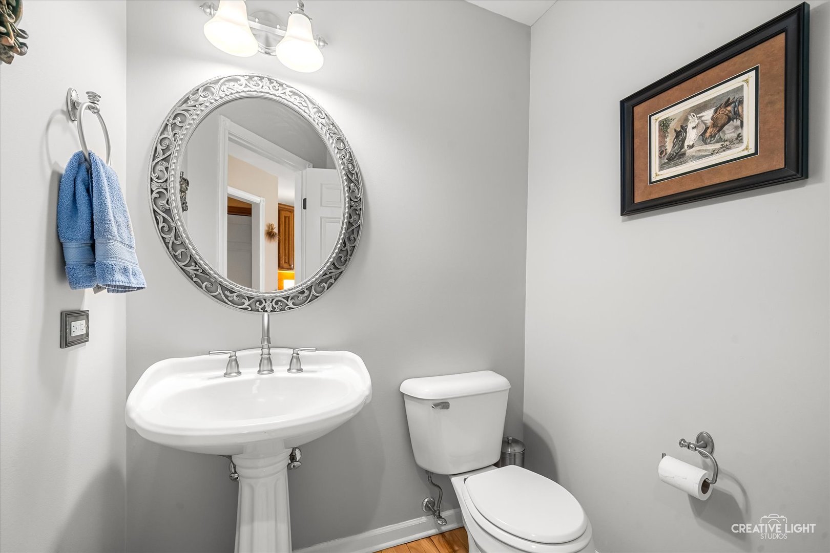 1813 Winchester Court, Oswego, IL 60543