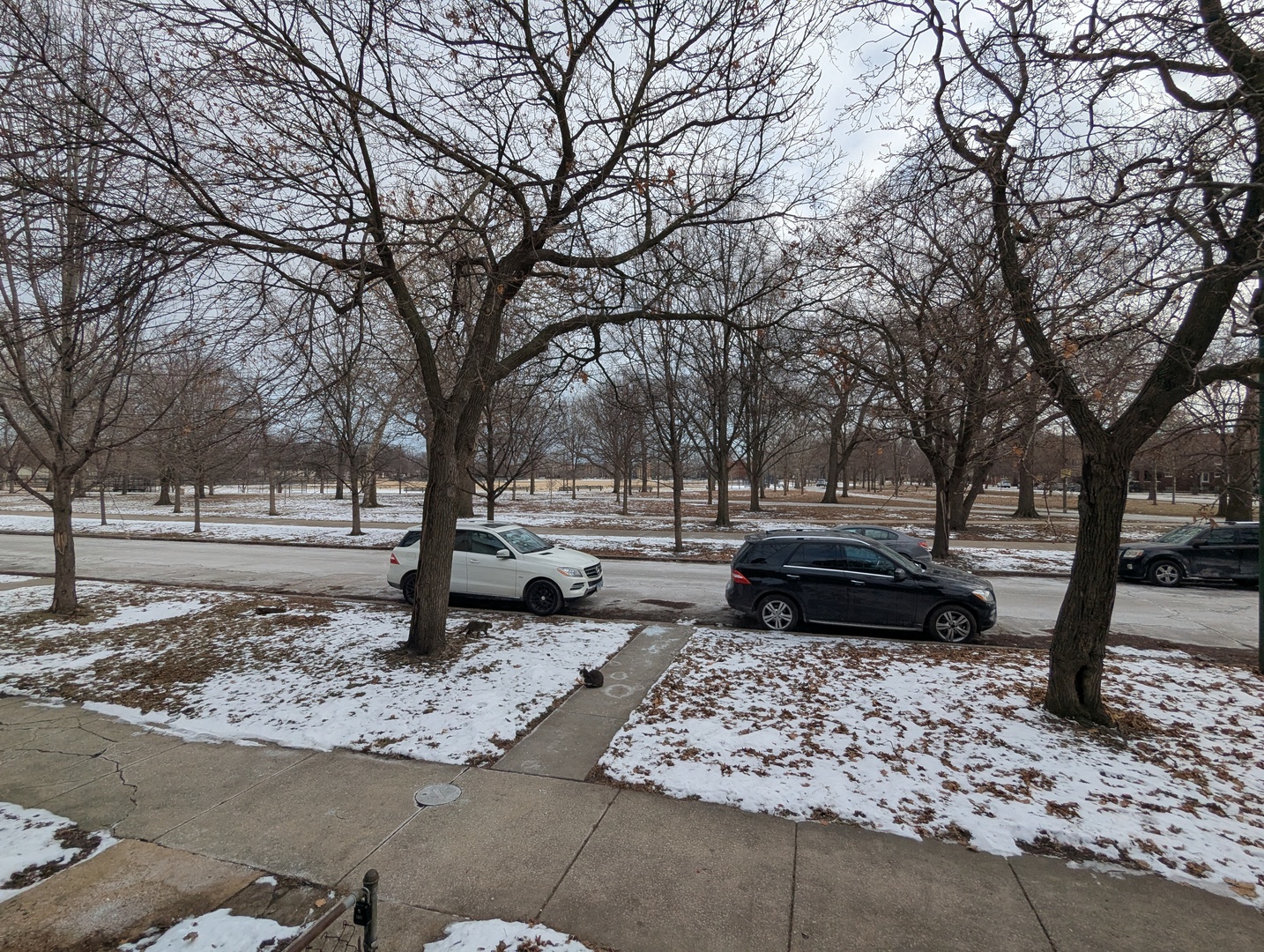 11246 S Indiana Avenue, Chicago, IL 60628