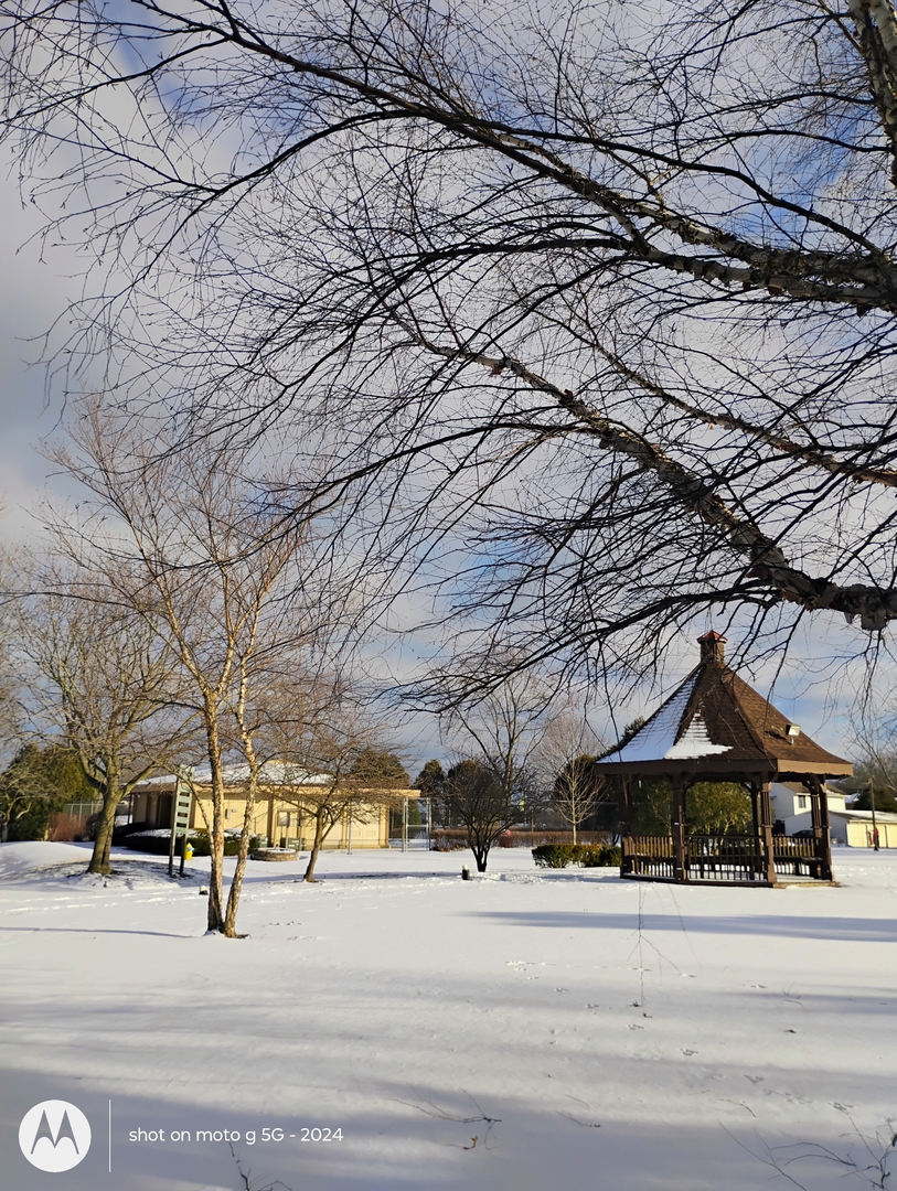 945 Commonwealth Court #4, Vernon Hills, IL 60061