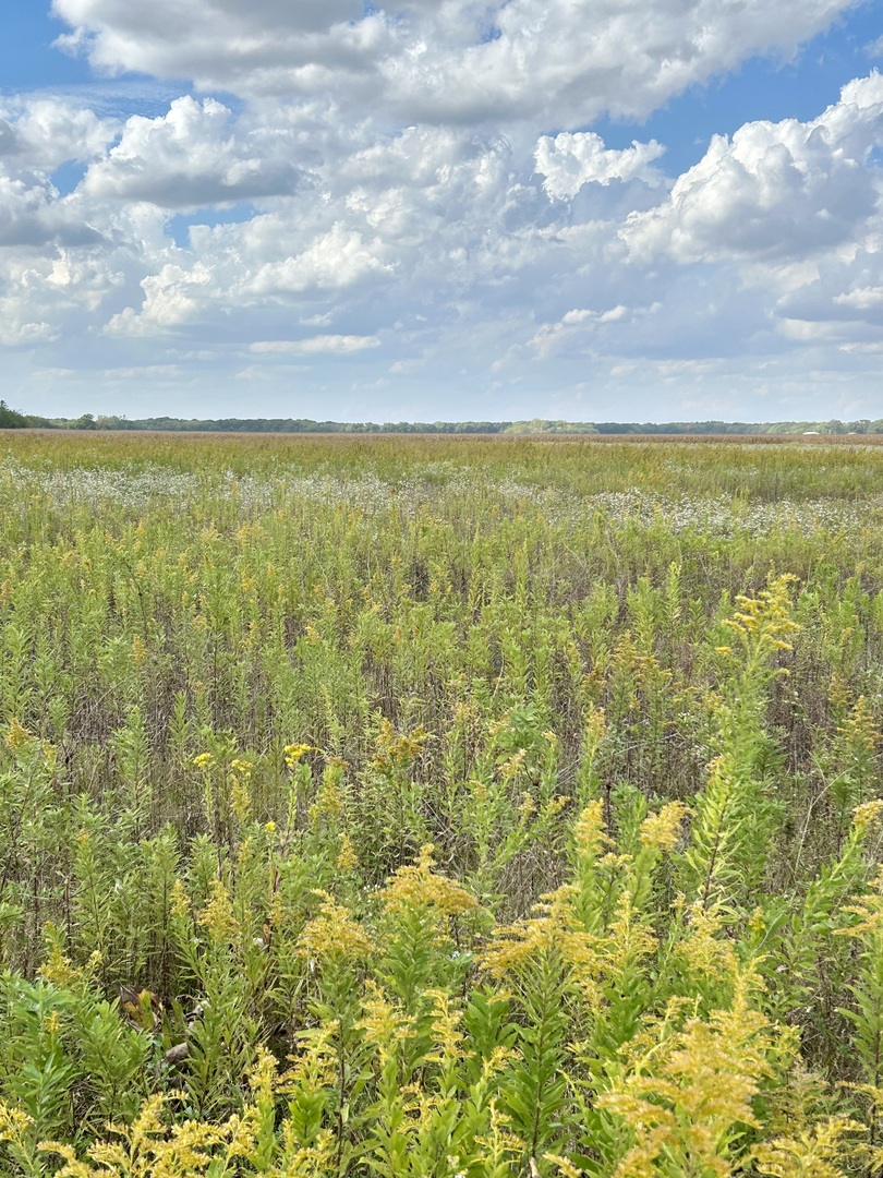 1065 N Gorman Road, Morris, IL 60450