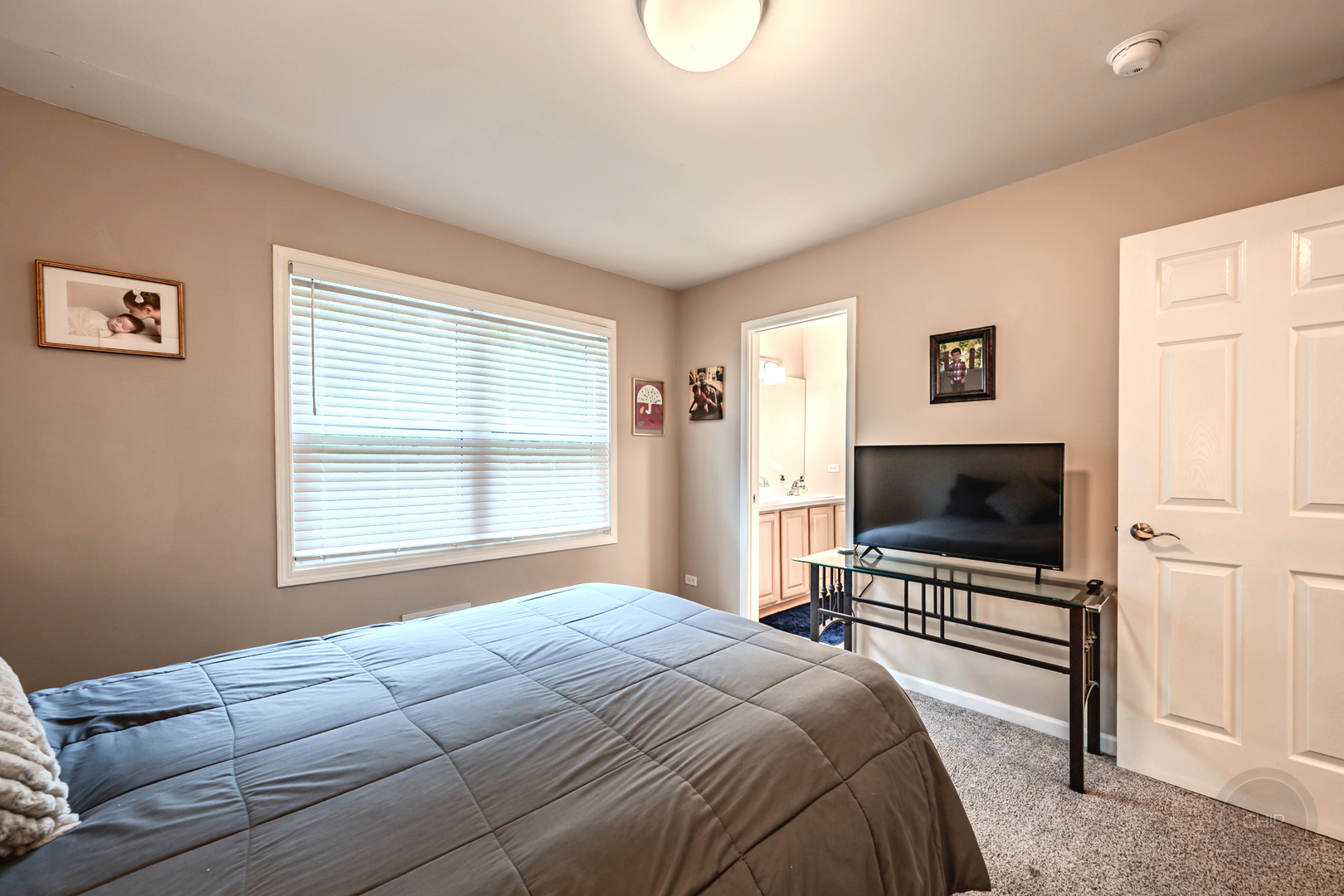 307 Inner Circle Drive, Bolingbrook, IL 60490