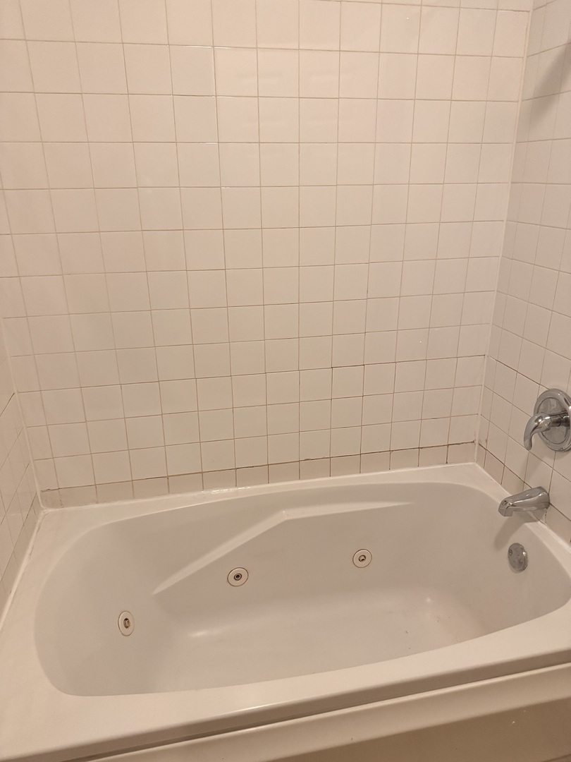 4615 S Michigan Avenue #2S, Chicago, IL 60653