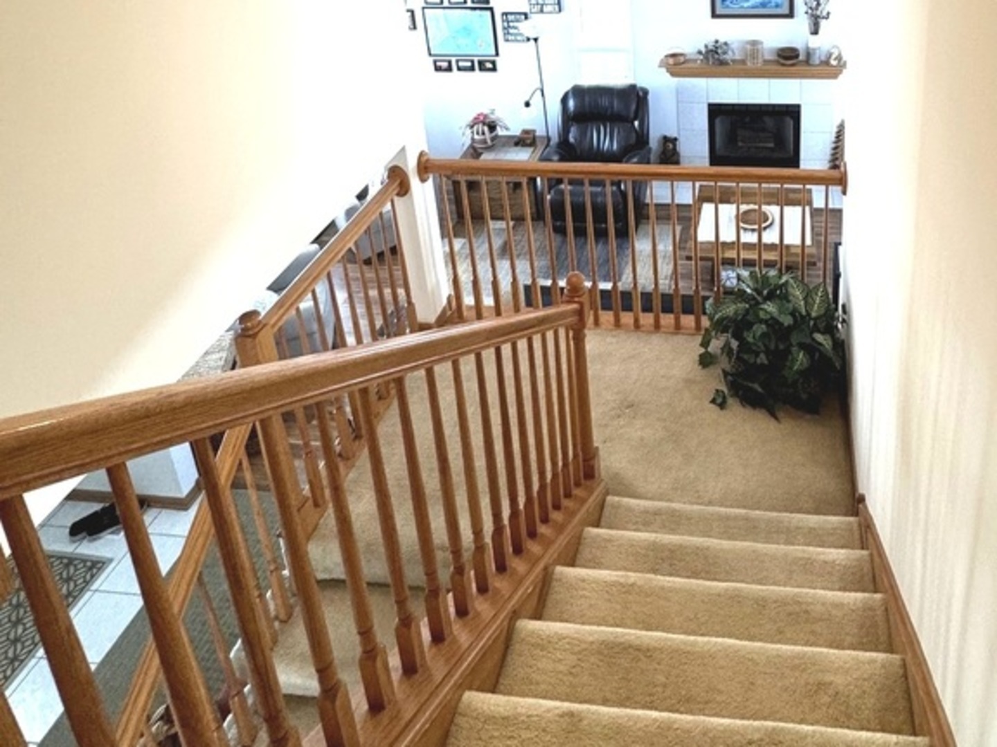 25731 S Hoover Street, Monee, IL 60449