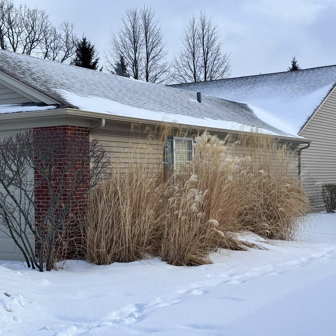 97 W Essington Drive, Round Lake, IL 60073