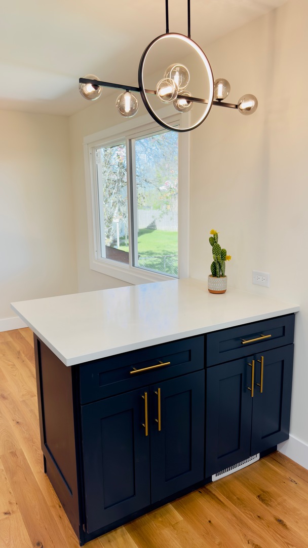 527 Northgate Road, Lindenhurst, IL 60046