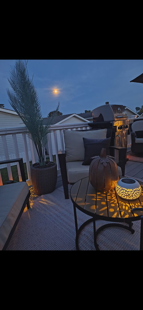 333 Lilac Lane, Matteson, IL 60443