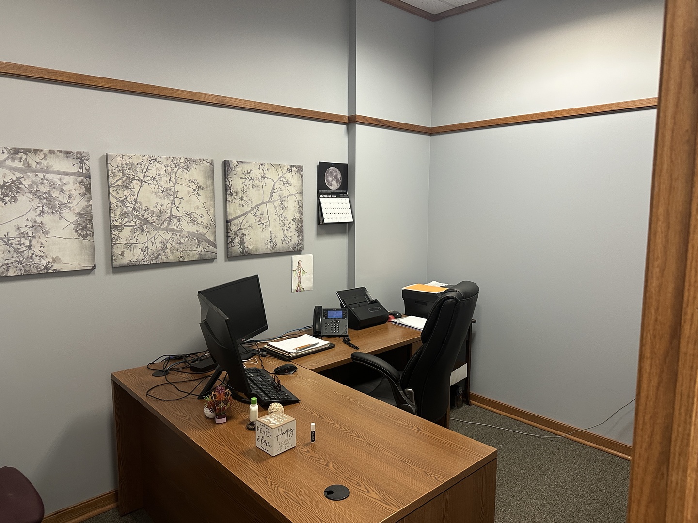 5950 Lincoln Avenue #W, Lisle, IL 60532