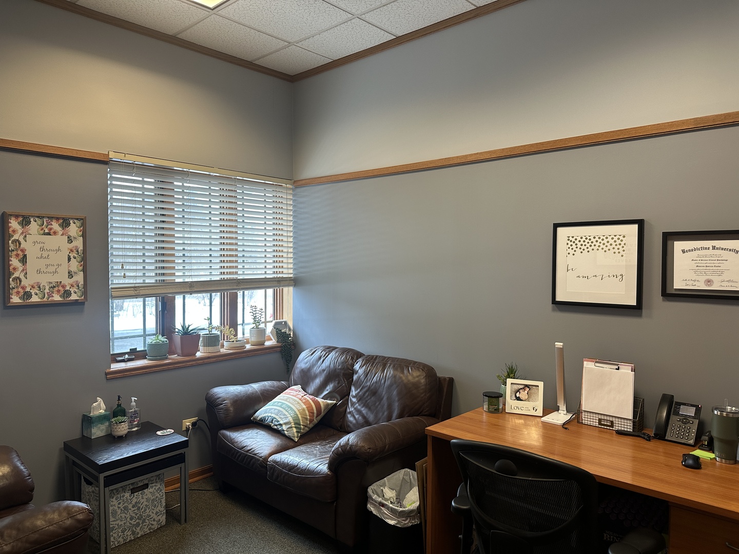 5950 Lincoln Avenue #W, Lisle, IL 60532