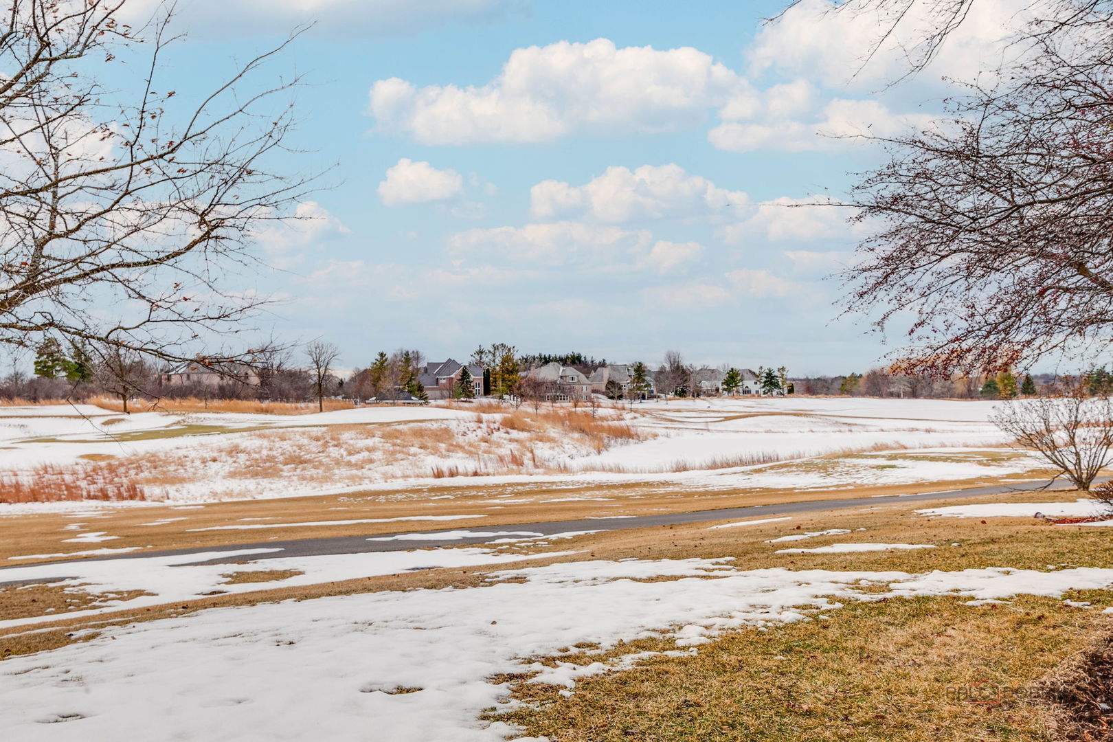 22087 W Vernon Ridge Drive, Ivanhoe, IL 60060