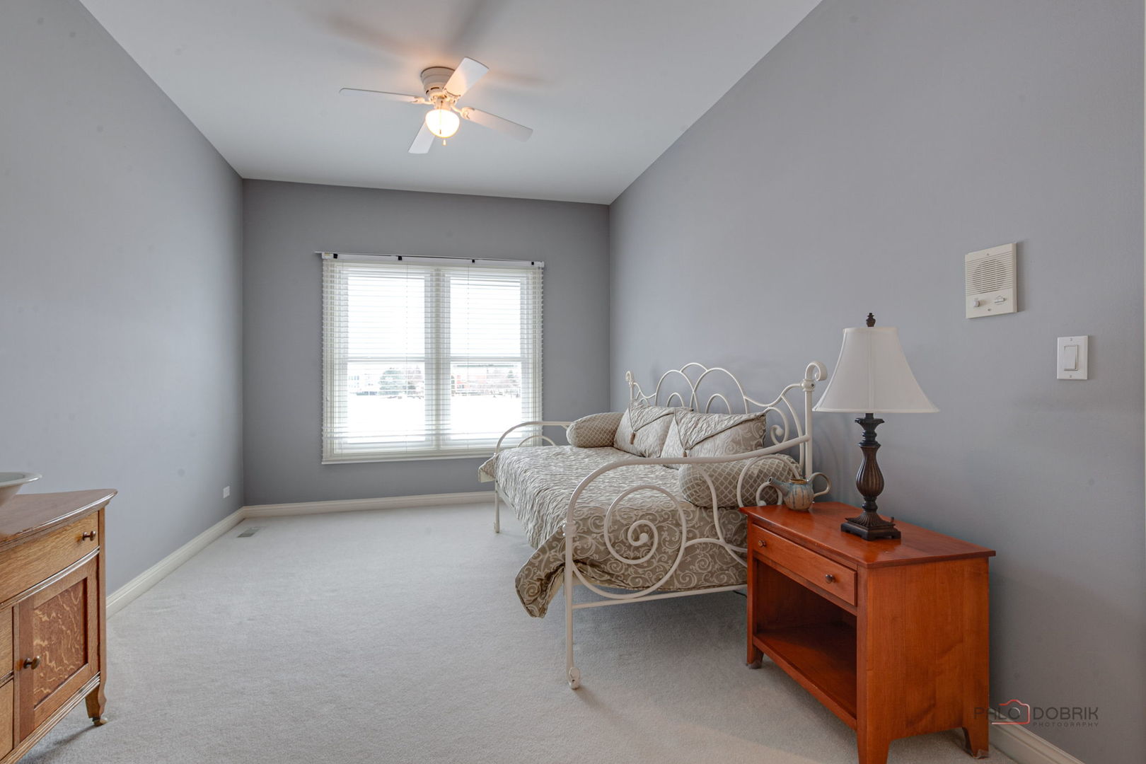 22087 W Vernon Ridge Drive, Ivanhoe, IL 60060