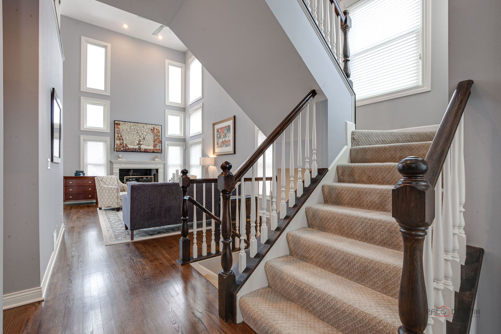 22087 W Vernon Ridge Drive, Ivanhoe, IL 60060