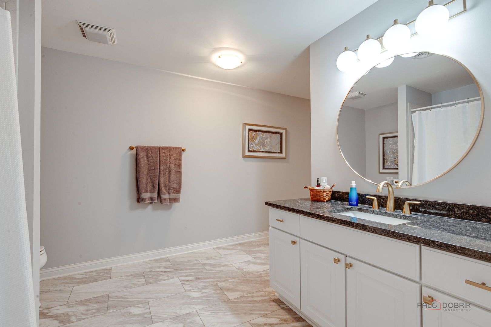 22087 W Vernon Ridge Drive, Ivanhoe, IL 60060