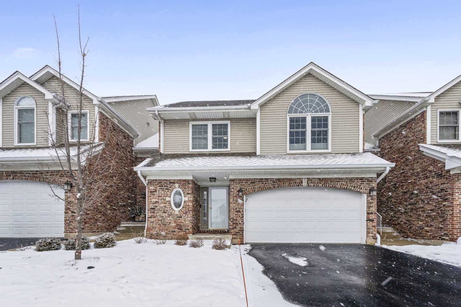 546 W Bridge View Court, Palatine, IL 60067
