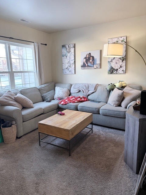 1180 N Nature Court #17-1180-A, Round Lake Beach, IL 60073