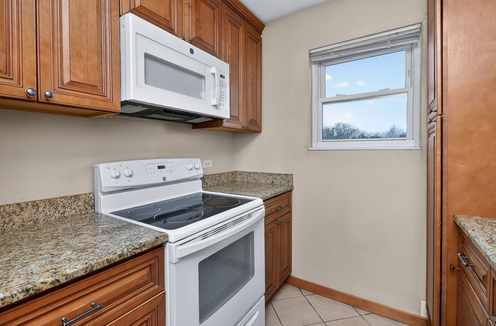 1351 N Winslowe Drive #302, Palatine, IL 60074