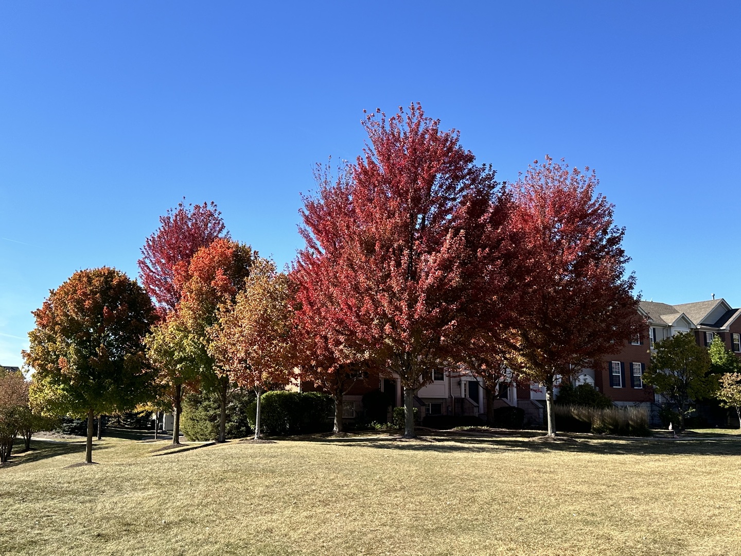 102 Town Center Boulevard #0, Gilberts, IL 60136