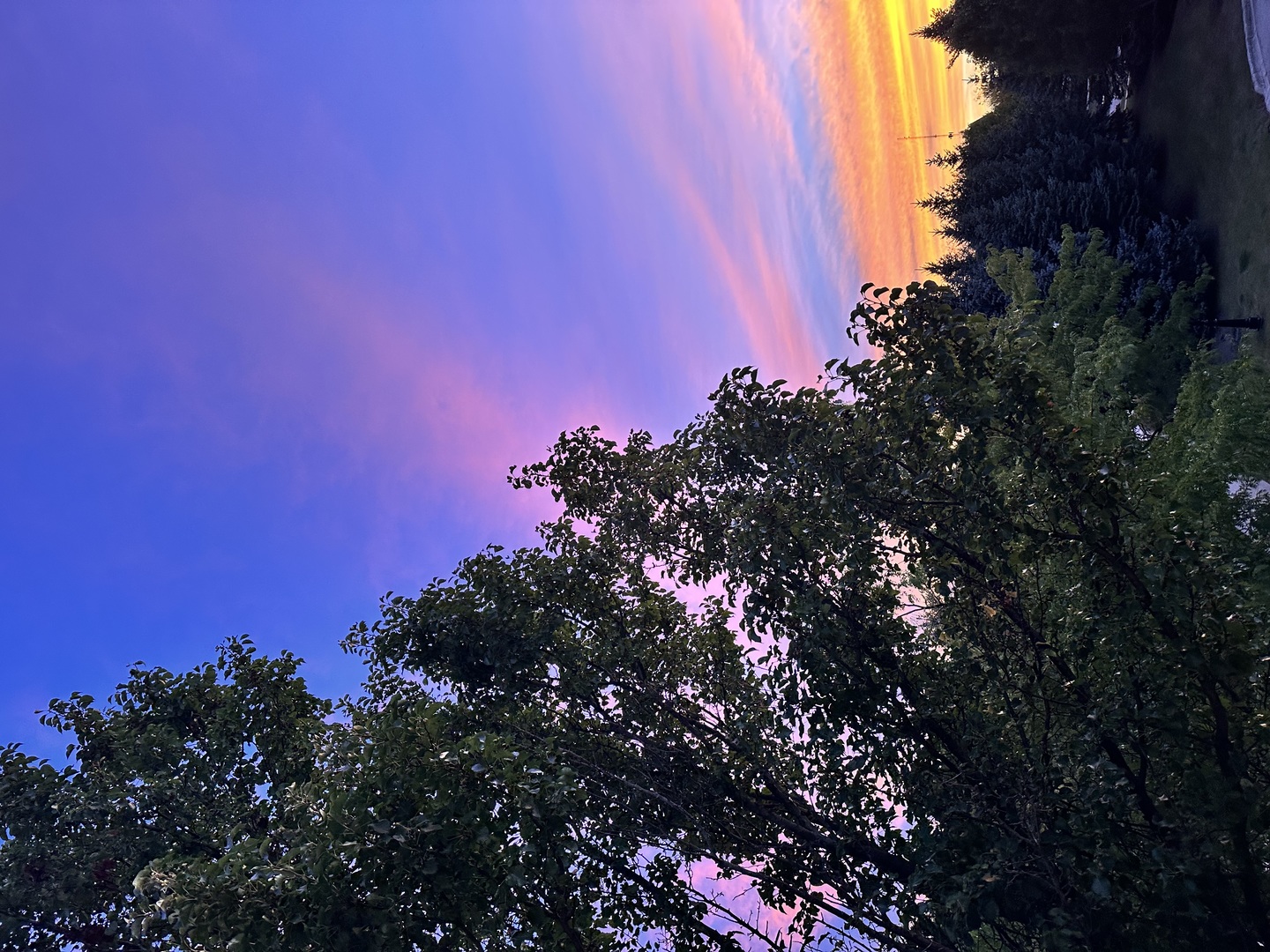 102 Town Center Boulevard #0, Gilberts, IL 60136