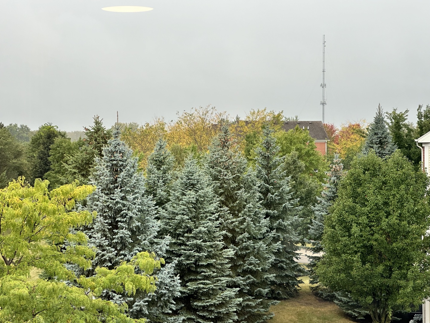 102 Town Center Boulevard #0, Gilberts, IL 60136