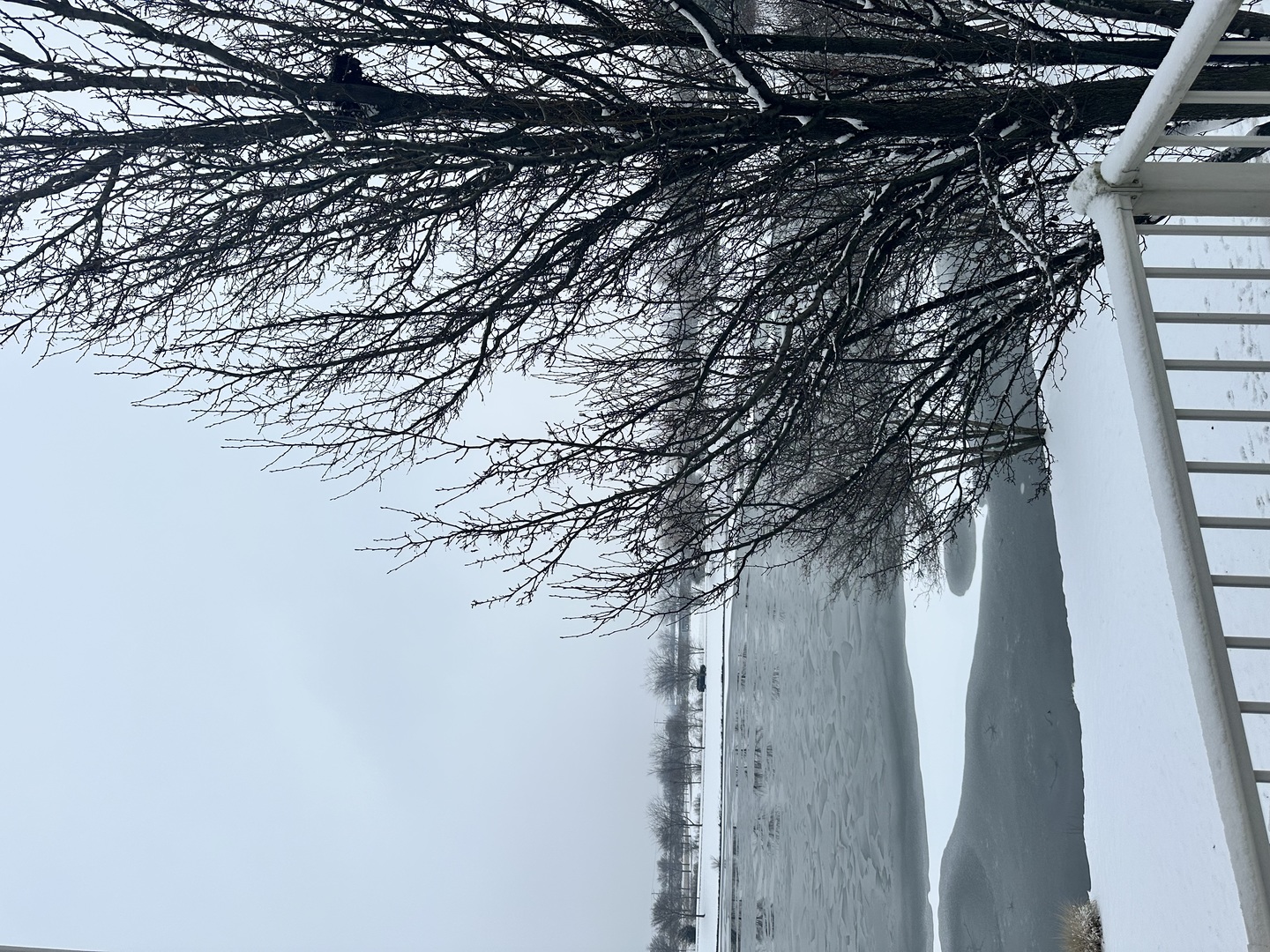 102 Town Center Boulevard #0, Gilberts, IL 60136