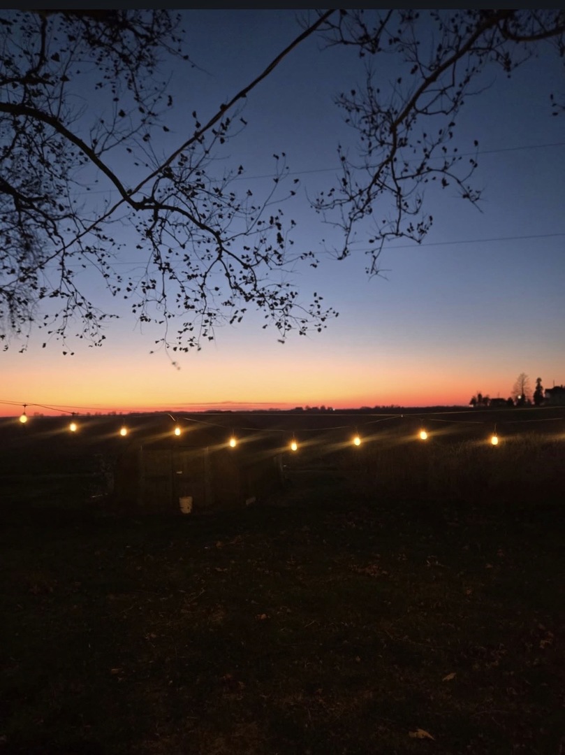 8428 N Shirlane Street, Shirley, IL 61772