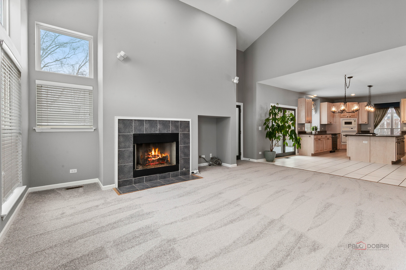 597 Treetop Lane, Gurnee, IL 60031